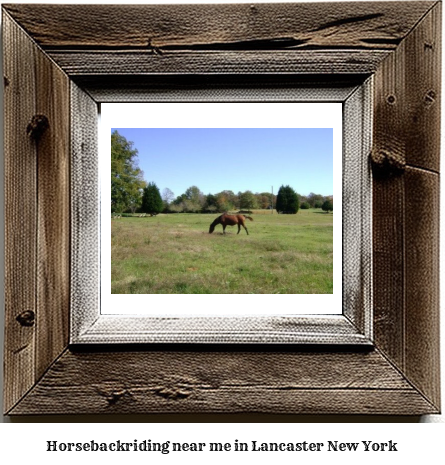 horseback riding near me in Lancaster, New York